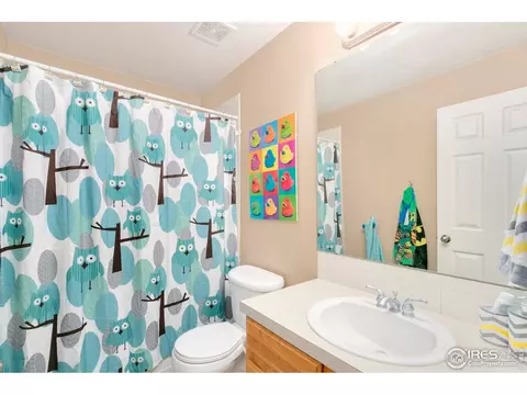 851 Durum St, Windsor, CO 80550 photo 25