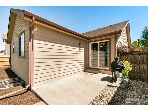 851 Durum St, Windsor, CO 80550 photo 38
