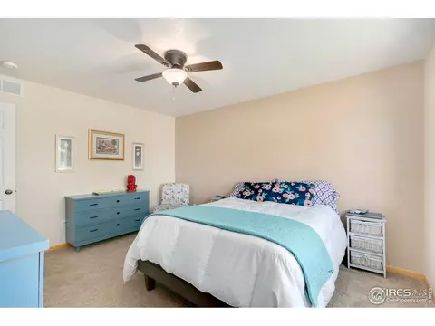 851 Durum St, Windsor, CO 80550 photo 24