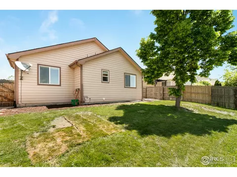 851 Durum St, Windsor, CO 80550 photo 39