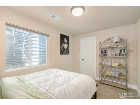 851 Durum St, Windsor, CO 80550 photo 34