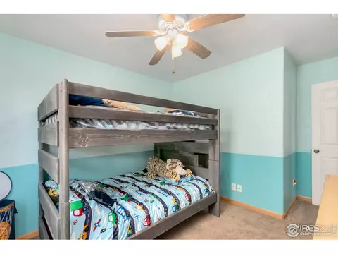 851 Durum St, Windsor, CO 80550 photo 26