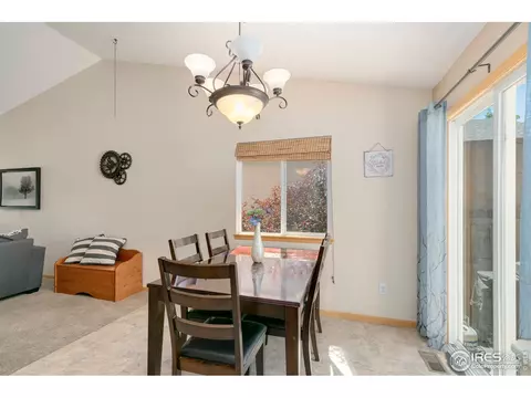 851 Durum St, Windsor, CO 80550 photo 15
