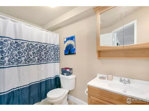 851 Durum St, Windsor, CO 80550 photo 36