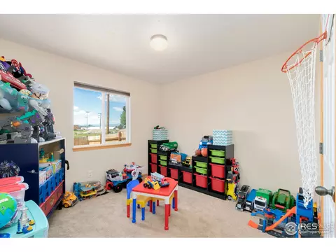 851 Durum St, Windsor, CO 80550 photo 27