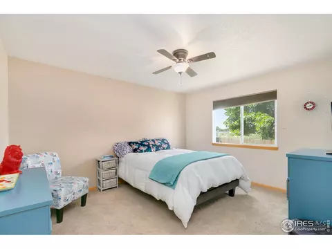 851 Durum St, Windsor, CO 80550 photo 19