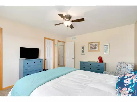 851 Durum St, Windsor, CO 80550 photo 22