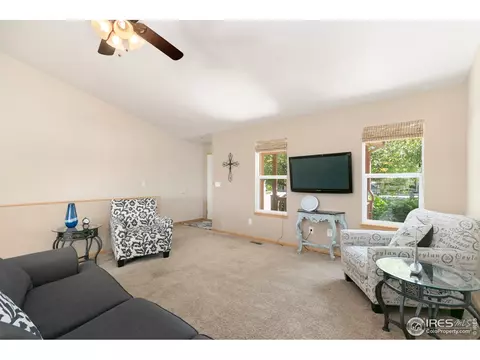 851 Durum St, Windsor, CO 80550 photo 9