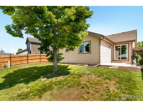 851 Durum St, Windsor, CO 80550 photo 40