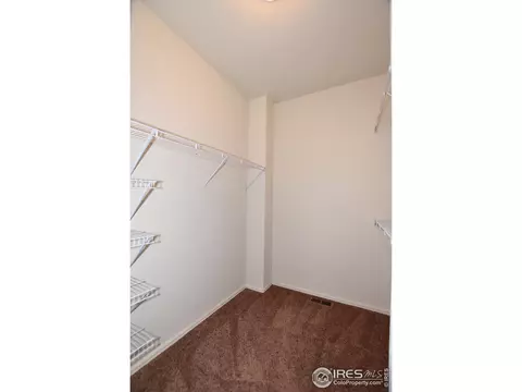 1051 Cherrybrook Dr, Windsor, CO 80550 photo 25