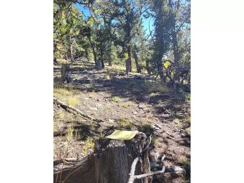 Tbd, Como, CO 80432 photo 14