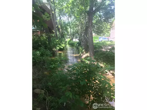 1237 Elder Ave #5, Boulder, CO 80304 photo 17