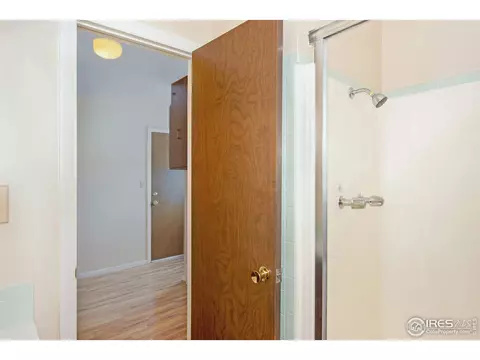 1010 Walnut St, Windsor, CO 80550 photo 15