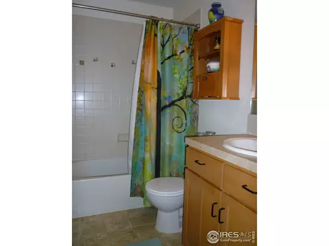 181 2nd Ave #4A, Lyons, CO 80540 photo 11
