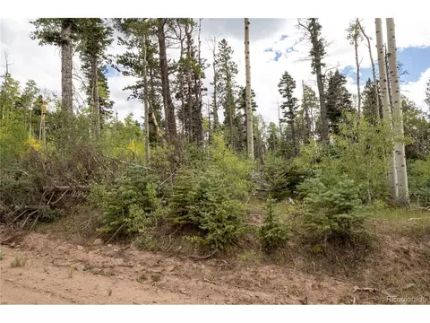 2614 Petito Dr, Fort Garland, CO 81133