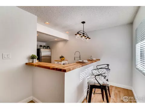 2929 Shady Holw, Boulder, CO 80304 photo 10