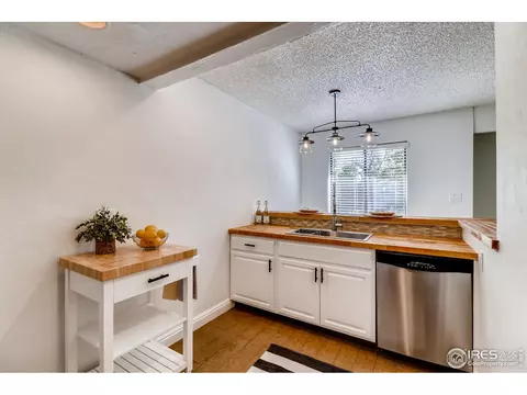 2929 Shady Holw, Boulder, CO 80304 photo 6