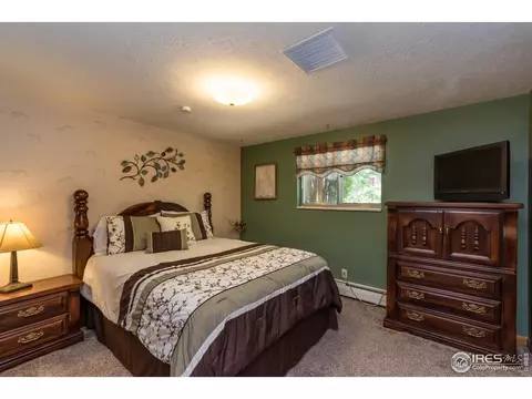 429 Grant Ave, Firestone, CO 80520 photo 15