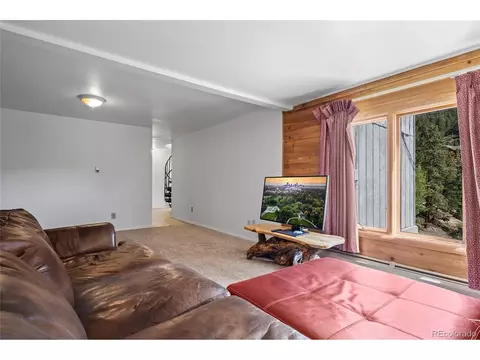 1729 Crow Valley Rd, Bailey, CO 80421 photo 39