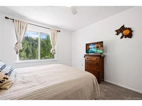 1729 Crow Valley Rd, Bailey, CO 80421 photo 35