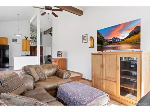 1729 Crow Valley Rd, Bailey, CO 80421 photo 22