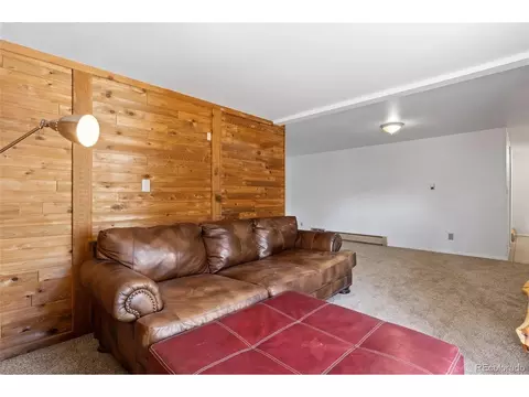1729 Crow Valley Rd, Bailey, CO 80421 photo 40