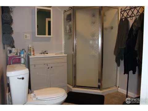 310 9th St, Windsor, CO 80550 photo 8