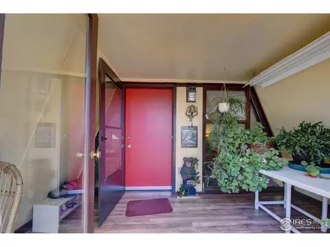 15355 S Swiss Rd, Pine, CO 80470 photo 3