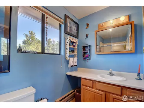 15355 S Swiss Rd, Pine, CO 80470 photo 23