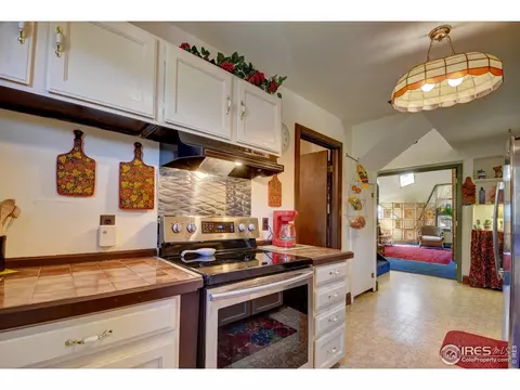 15355 S Swiss Rd, Pine, CO 80470 photo 15