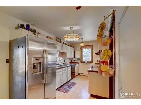 15355 S Swiss Rd, Pine, CO 80470 photo 22