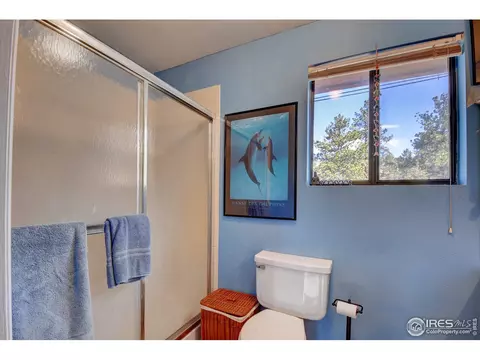 15355 S Swiss Rd, Pine, CO 80470 photo 10