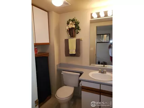 313 Turner Ave, Berthoud, CO 80513 photo 8