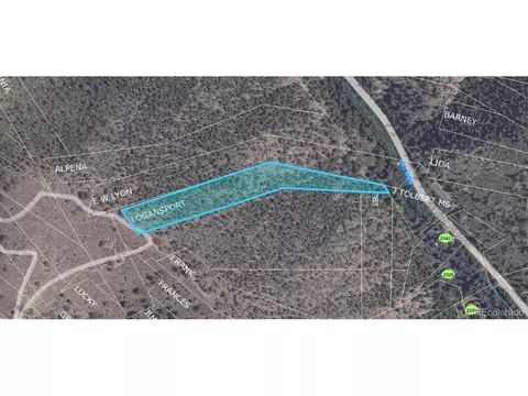 0 Tbd Wild Wagoner Trl, Idaho Springs, CO 80452