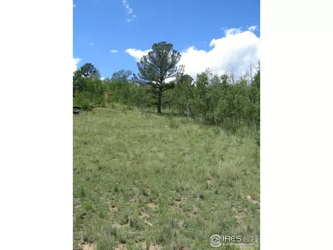 53 Knot Way, Como, CO 80432 photo 1