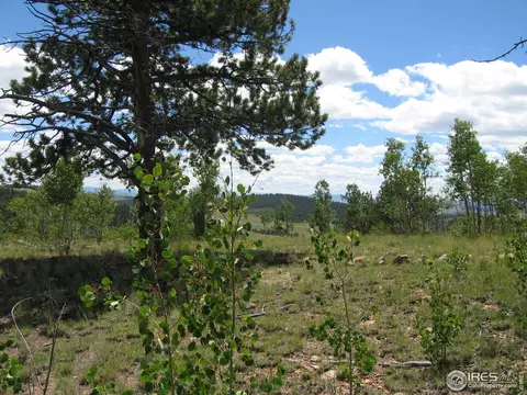 53 Knot Way, Como, CO 80432 photo 8