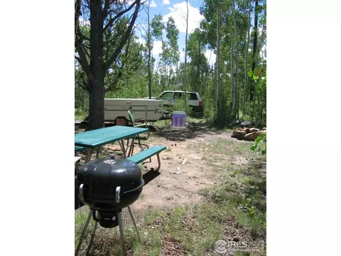 53 Knot Way, Como, CO 80432 photo 3