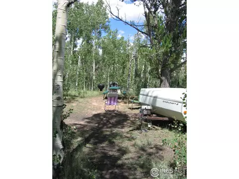 53 Knot Way, Como, CO 80432 photo 6