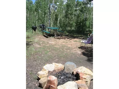 53 Knot Way, Como, CO 80432 photo 2