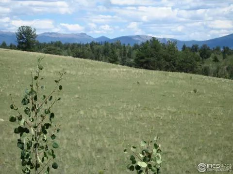 53 Knot Way, Como, CO 80432 photo 7