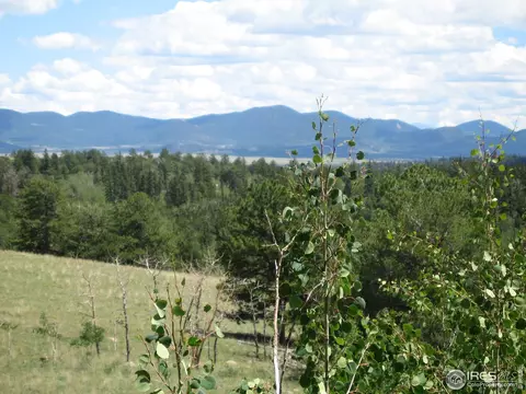 53 Knot Way, Como, CO 80432 photo 5