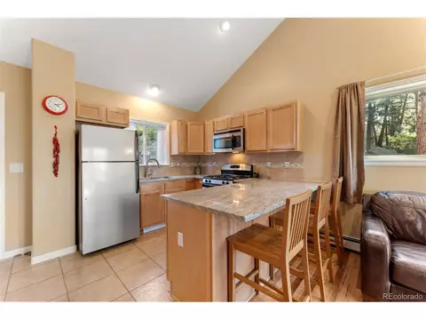 26 High View Ln, Bailey, CO 80421 photo 10