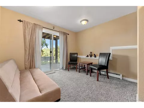 26 High View Ln, Bailey, CO 80421 photo 28