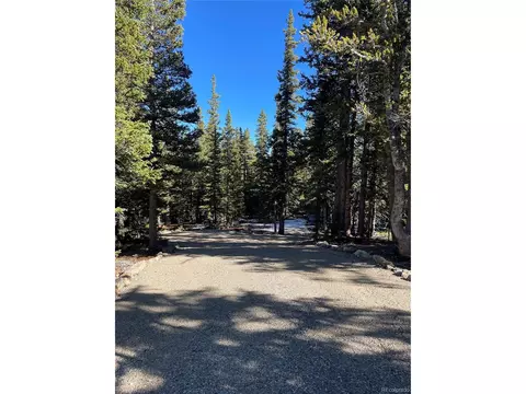 1401 Prunes Pl, Fairplay, CO 80440