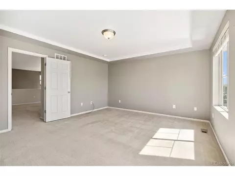 19508 E 47th Dr, Denver, CO 80249 photo 24