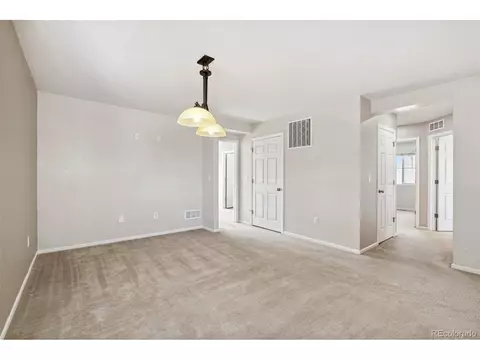19508 E 47th Dr, Denver, CO 80249 photo 32
