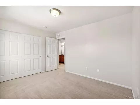19508 E 47th Dr, Denver, CO 80249 photo 19