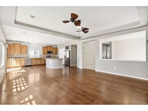 19508 E 47th Dr, Denver, CO 80249 photo 10
