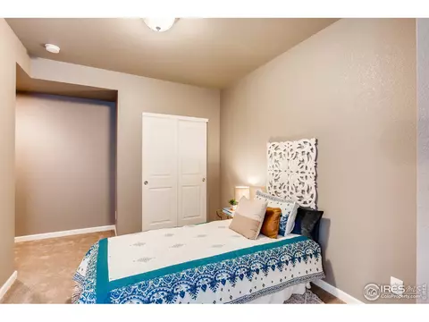 5960 Jasper St, Timnath, CO 80547 photo 32