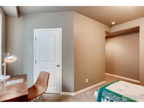 5960 Jasper St, Timnath, CO 80547 photo 34